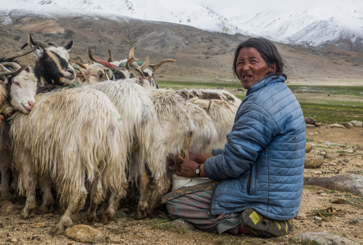 Chang Pa nomads, Tso Morriri