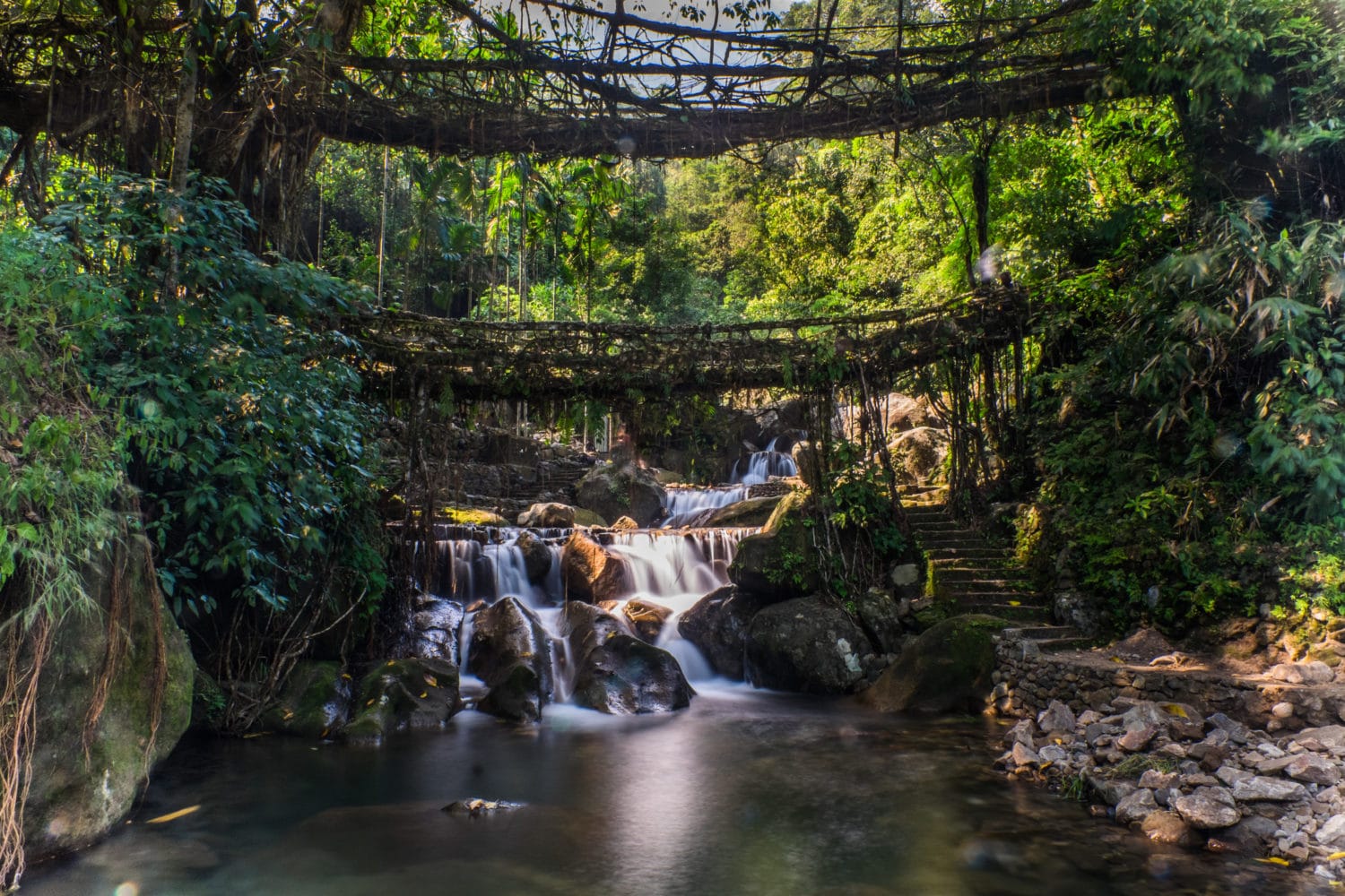 a-guide-to-the-amazing-living-root-bridges-of-meghalaya-the