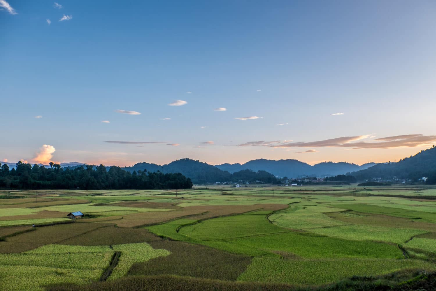 The Magical Valley that is Ziro | The reDiscovery Project