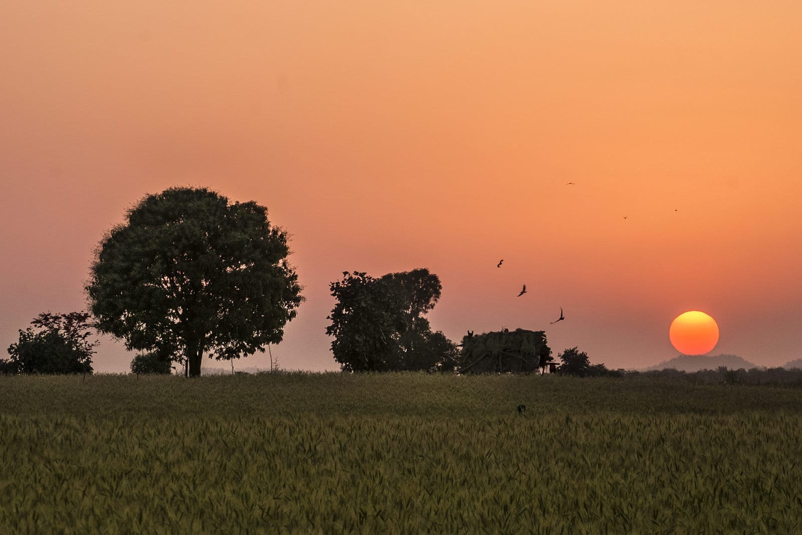 satpura sunset