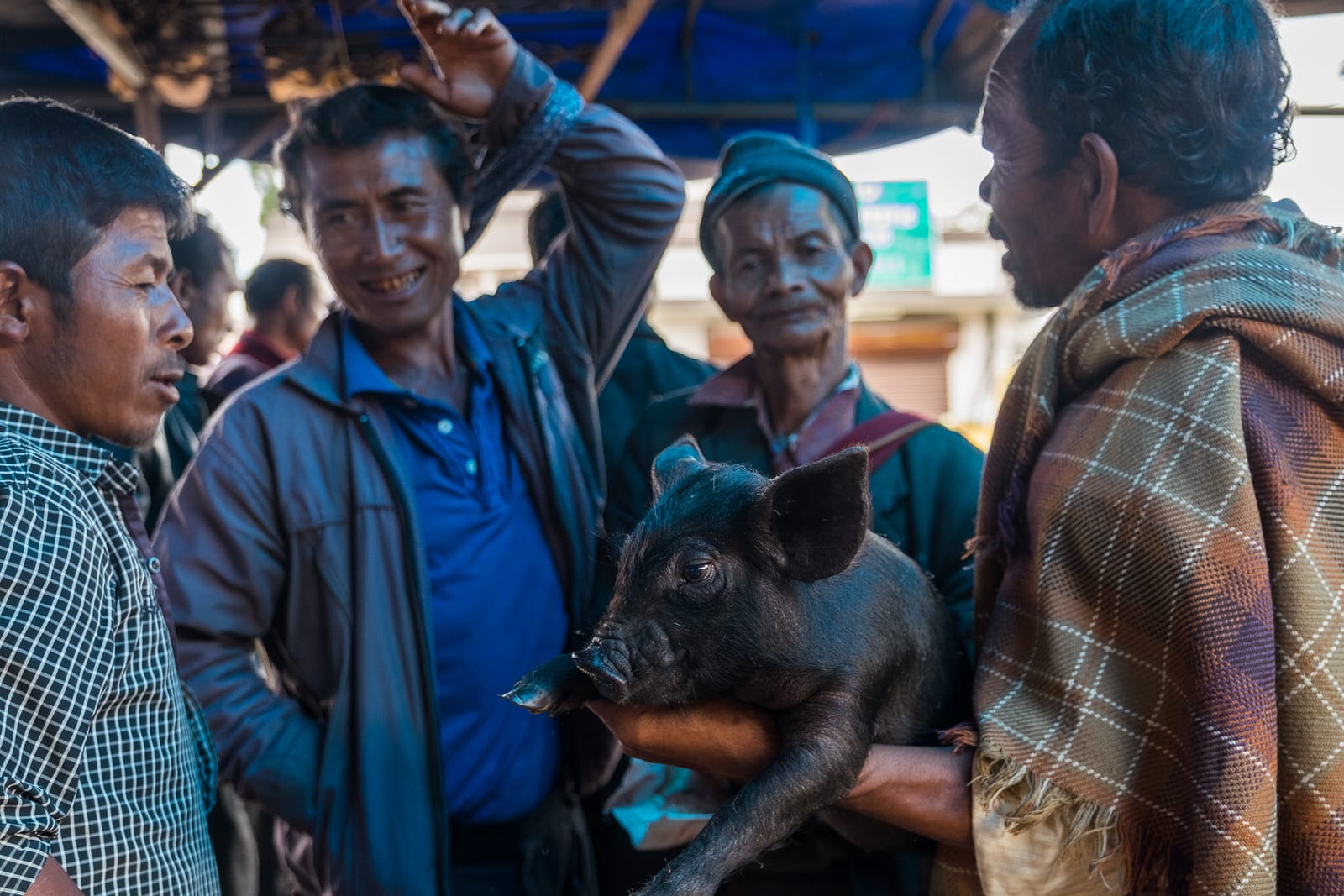 Pig market shillong