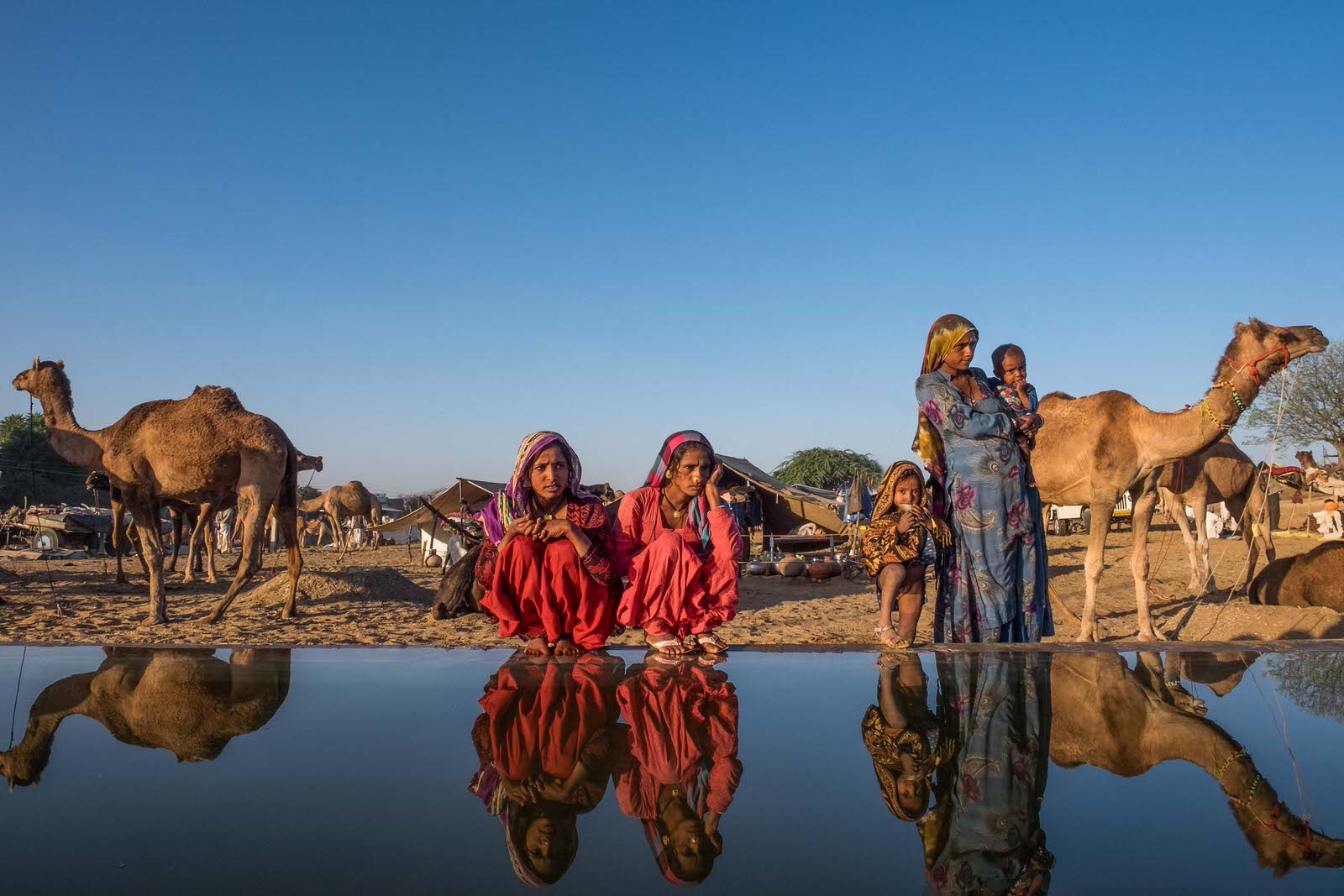 Nomads Pushkar Mela