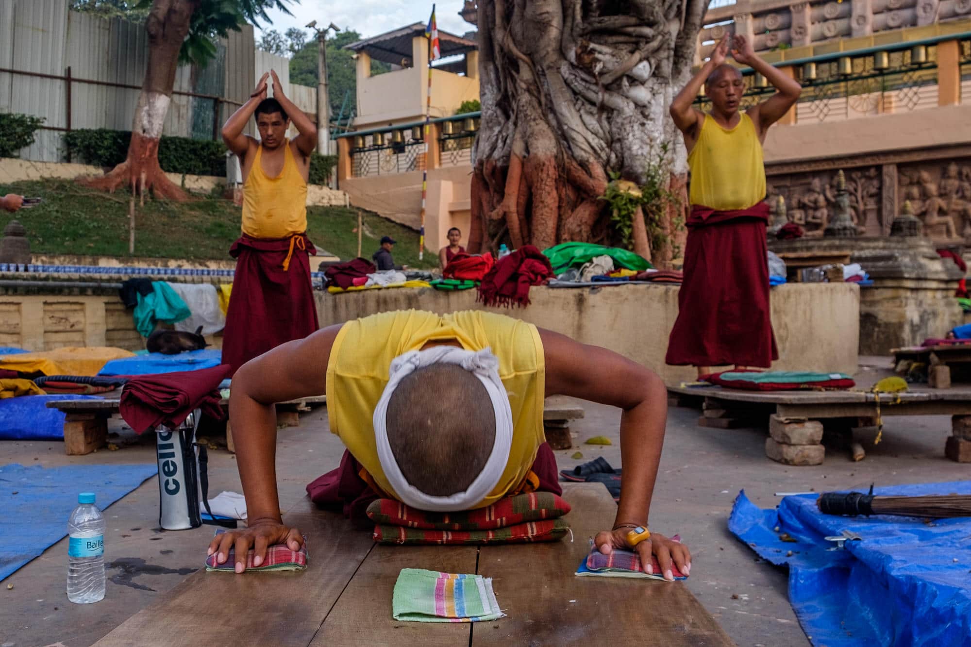 Monks do sashtang pranam before the Bodhi tree, mahabodhi temple, bodhgaya, bihar