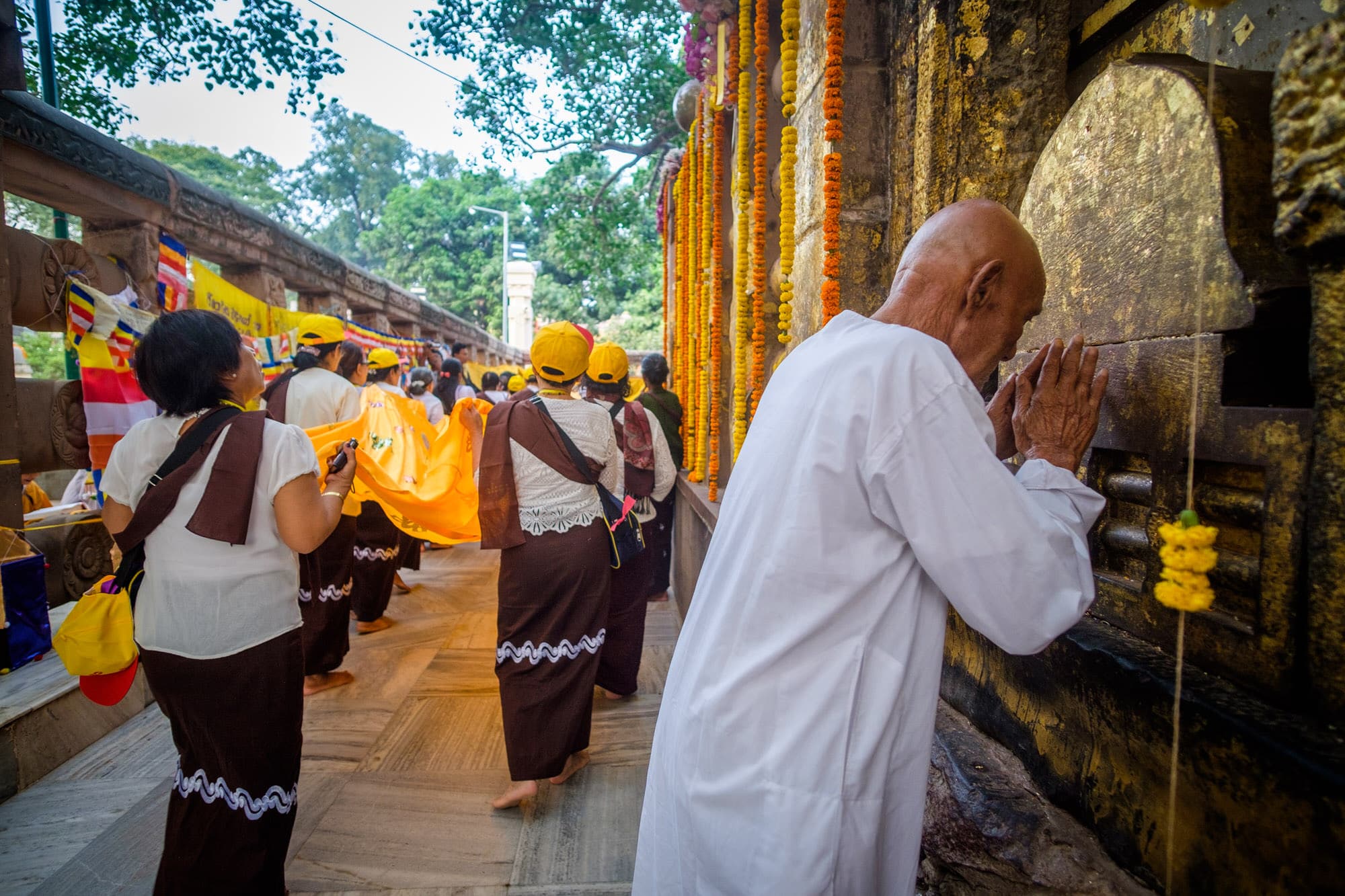 A pilgrim prays before the Bodhi tree in the Mahabodhi Temple, Bodhgaya 